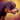 Mini Rottweiler.png