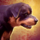 Mini Rottweiler.png