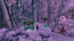 Missing Brood Location 3.jpg