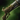 Mist Lord's Rifle.png