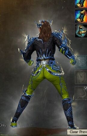 Back view in combat stance