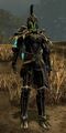 Vigil sylvari male heavy 2.jpg
