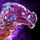 Vital Geode (raptor skin).png