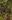 Flamefrog Vale map.jpg