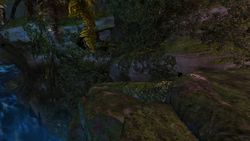 4. Far side of the bridge. Southwest of the Abandoned Outpost. Beside a tree trunk at ground level.