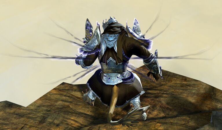 Back view in combat stance