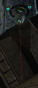 Novus Laser.jpg