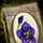 Shing Jea Orchid Seed Pouch.png
