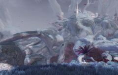 Tree of Many Faces.jpg