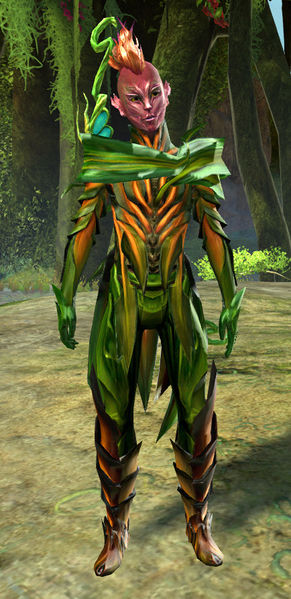 File:Warden Etain.jpg