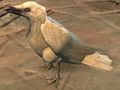 White Raven.jpg