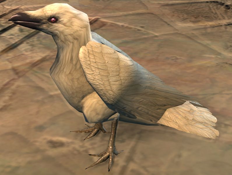 File:White Raven.jpg