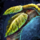 Wisteria.png