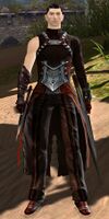 Bandit Assassin male 2.jpg