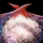 Bowl of Baker's Dry Ingredients.png