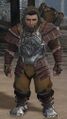 Droknar's Dwarf 1.jpg