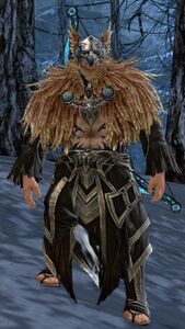 Eagle Shaman.jpg