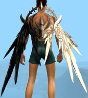 Equinox Wings Backpack.jpg