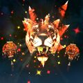 Visage of the Great Tiger Fireworks