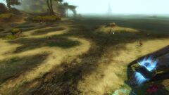 Half Circle Cove.jpg