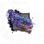 Juvenile Electric Wyvern.png