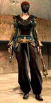 Lionguard norn light 1.jpg