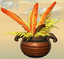 Potted Gold Fern front.jpg