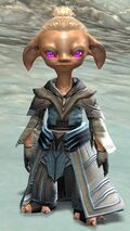 Priory asura male light 1.jpg