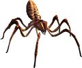 Bestiary Spider.jpg