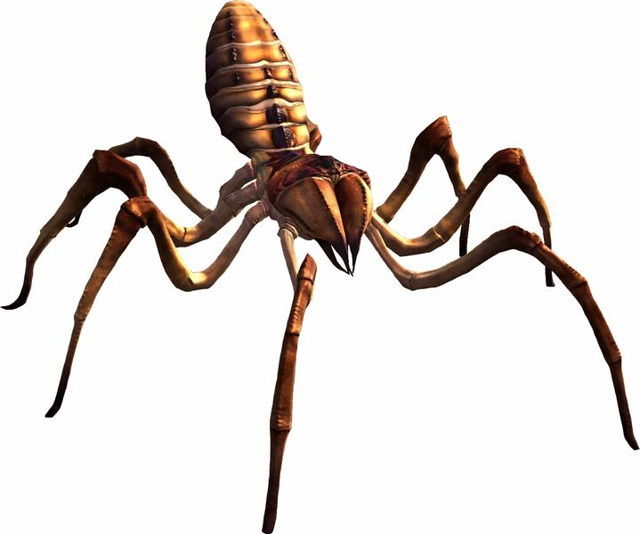 File:Bestiary Spider.jpg
