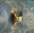 Thumbnail for version as of 18:52, 12 March 2022