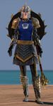 Consortium heavy norn female 2.jpg