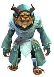 Diviner armor charr male front.jpg