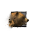 Juvenile Brown Bear.png