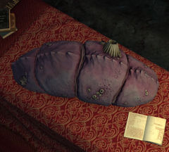 Karka Shell (object).jpg