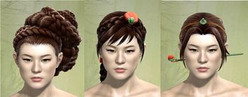 Norn female hair styles 2.jpg