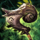 Old-Growth Hammer.png