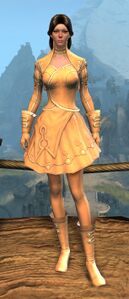 Appearance on light armor.