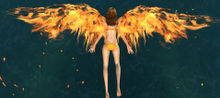 Phoenix Glider.jpg