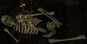 Slave Remains.jpg