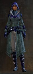 Traveler's Outfit