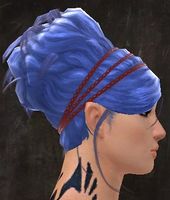 Unique norn female hair side 18.jpg