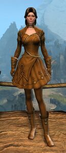 Appearance on light armor.