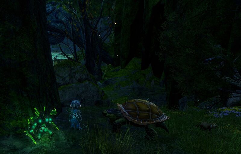 File:Baby Siege Turtle.jpg