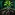 Biography Right To Grow.png
