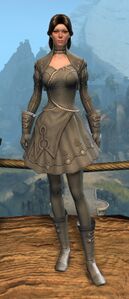 Appearance on light armor.