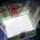 Green Wintersday Gift.png