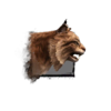 Lynx