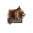 Juvenile Lynx.png