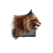 Juvenile Lynx.png